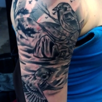 birds