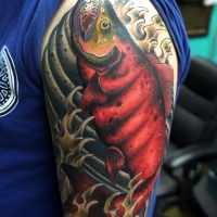 sockeye